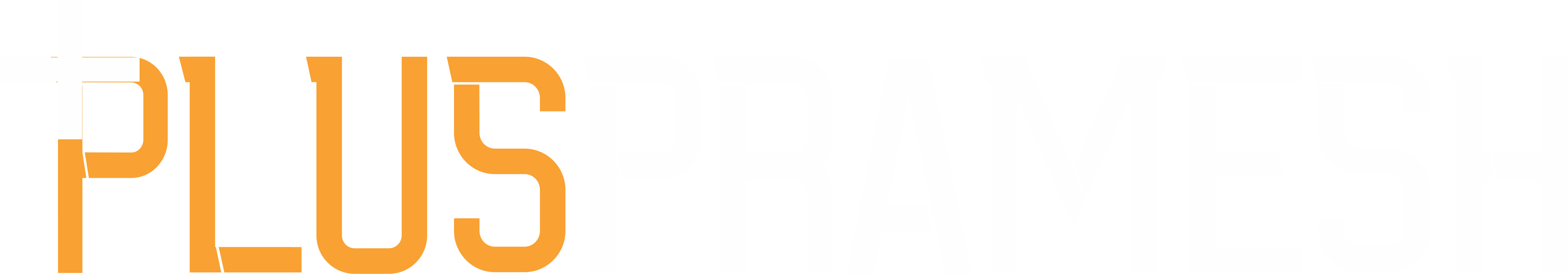 plus pramesh logo